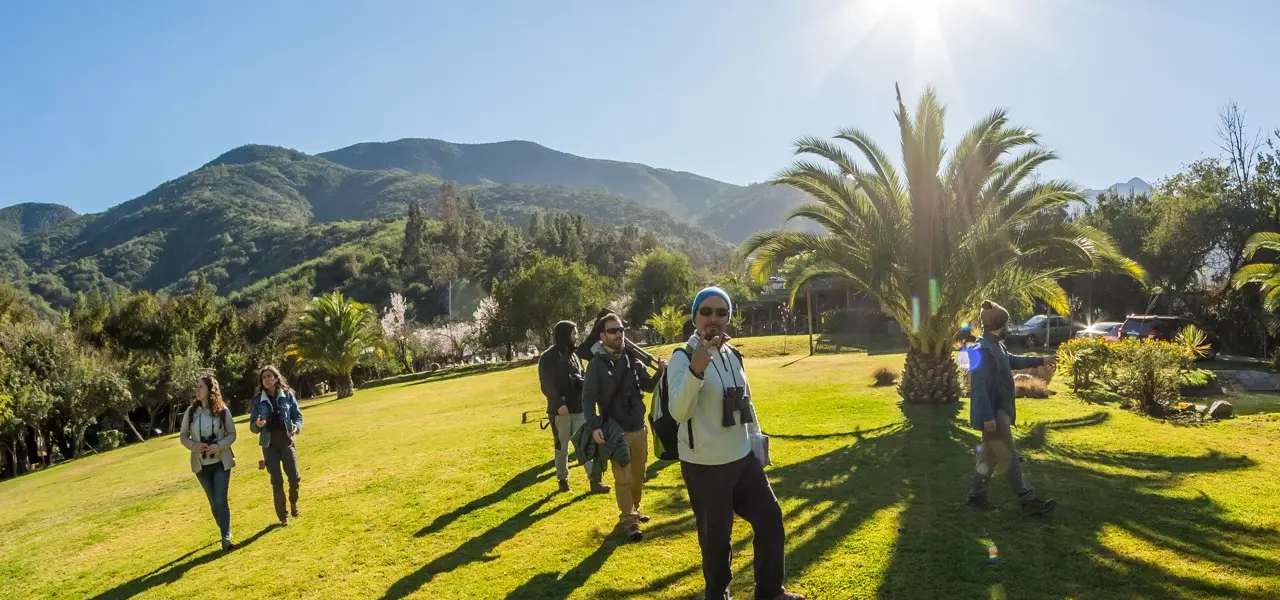 TravelinChile
